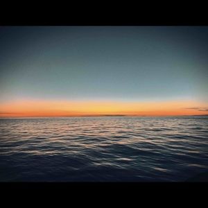 Meet your Posher, Mia